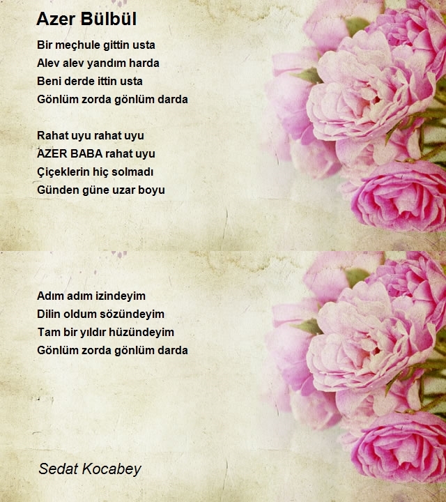 Sedat Kocabey