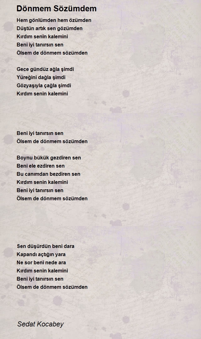 Sedat Kocabey