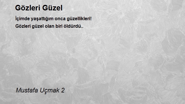 Mustafa Uçmak 2