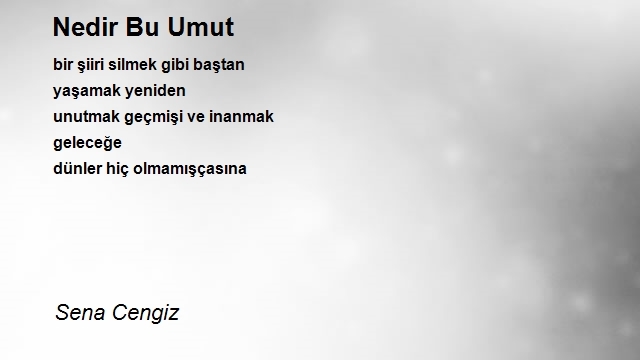 Sena Cengiz
