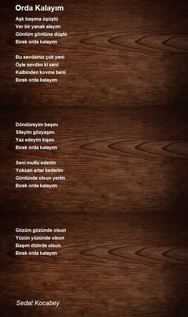 Sedat Kocabey