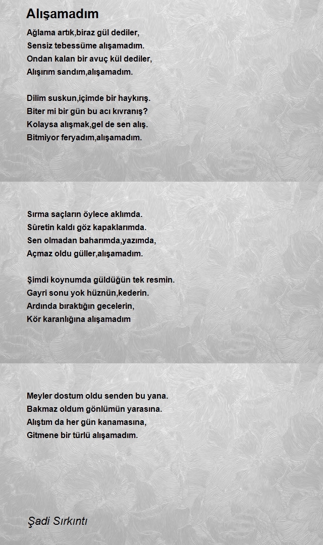 Şadi Sırkıntı