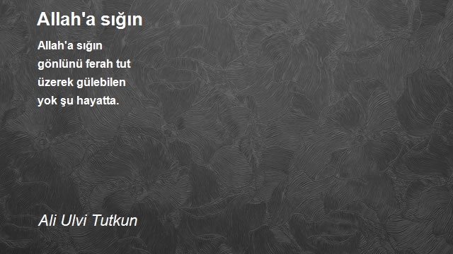Ali Ulvi Tutkun