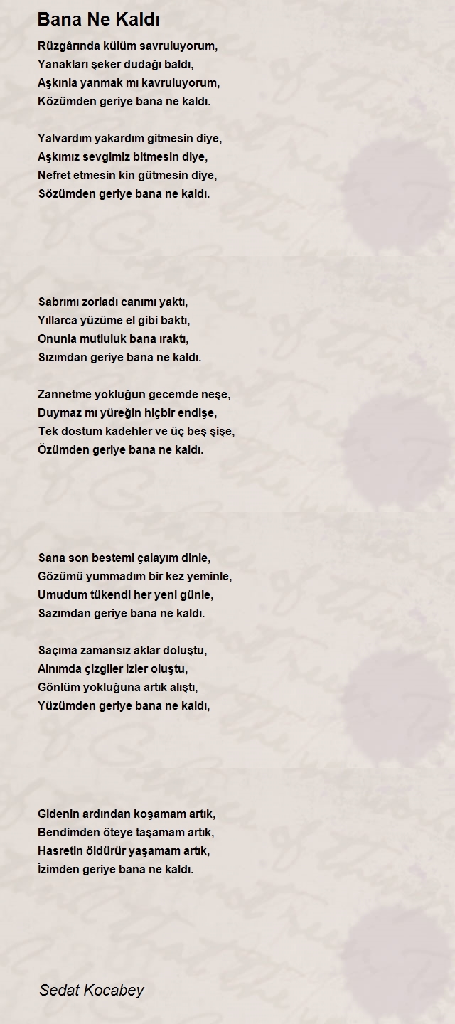 Sedat Kocabey