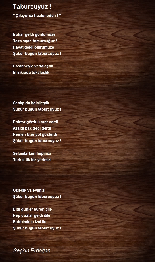 Seçkin Erdoğan