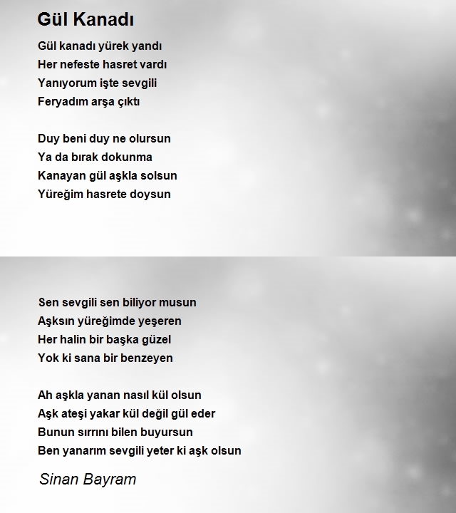 Sinan Bayram