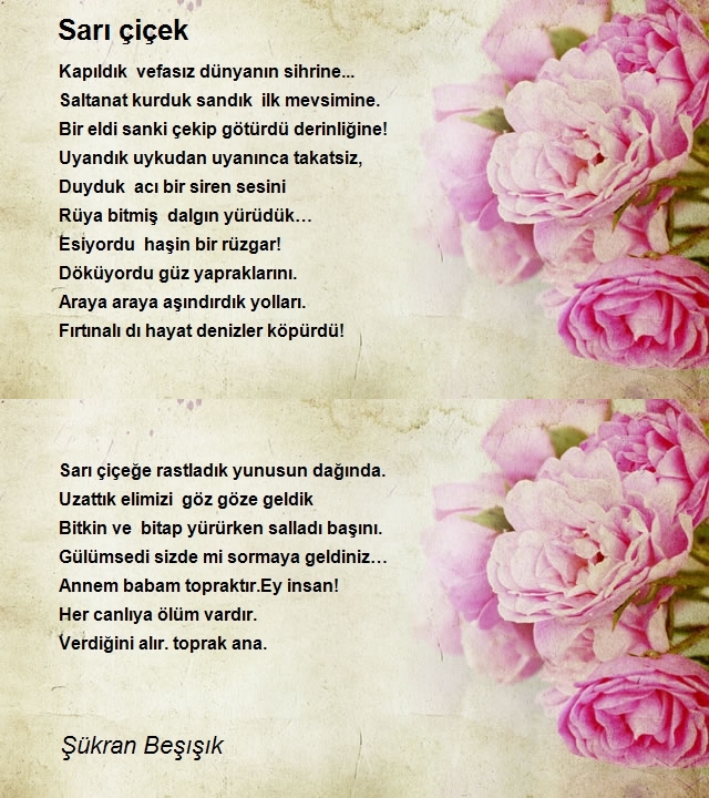 Şükran Beşışık