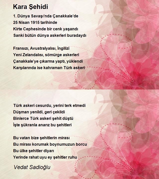 Vedat Sadioğlu