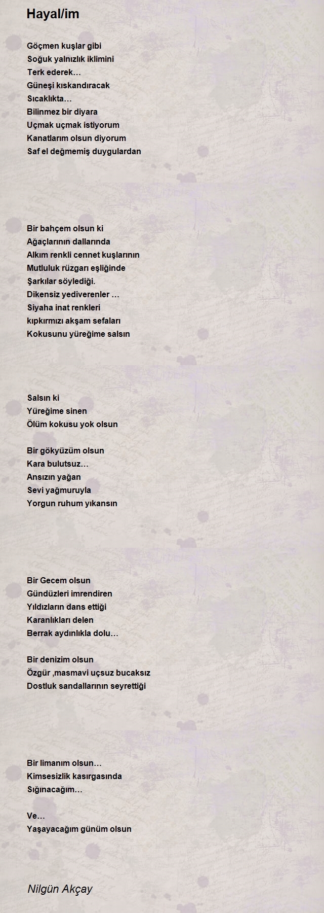 Nilgün Akçay