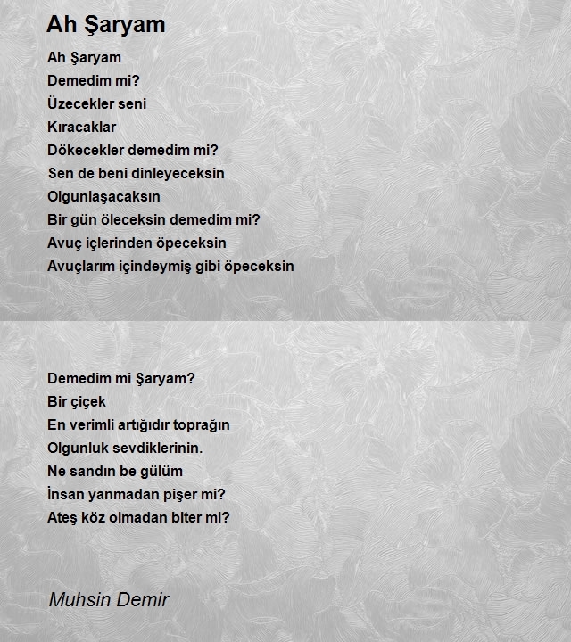 Muhsin Demir