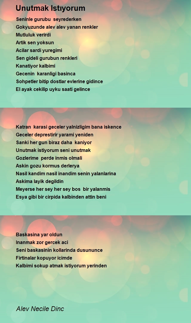 Alev Necile Dinc