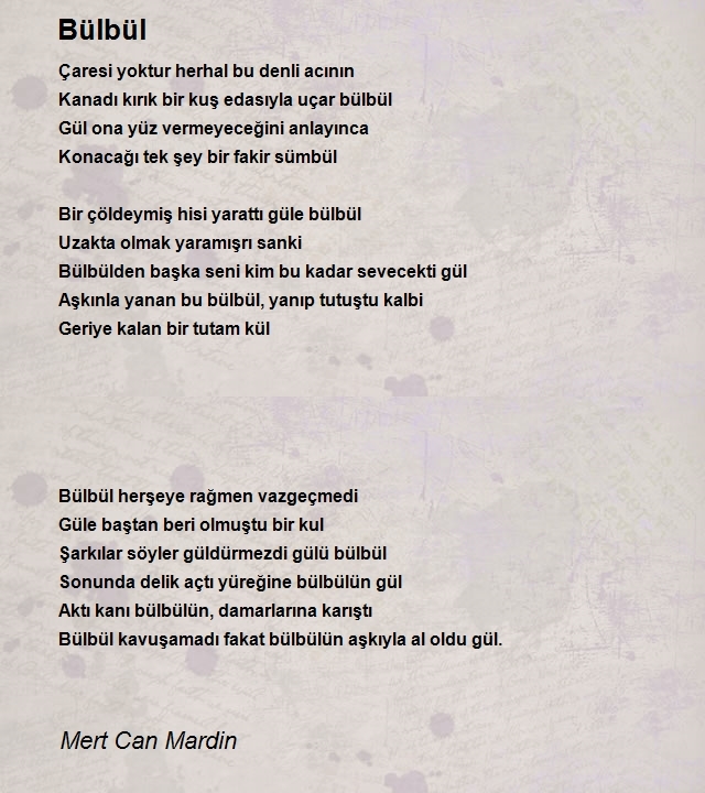 Mert Can Mardin