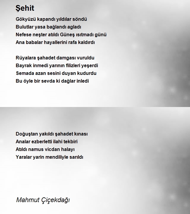Mahmut Çiçekdağı