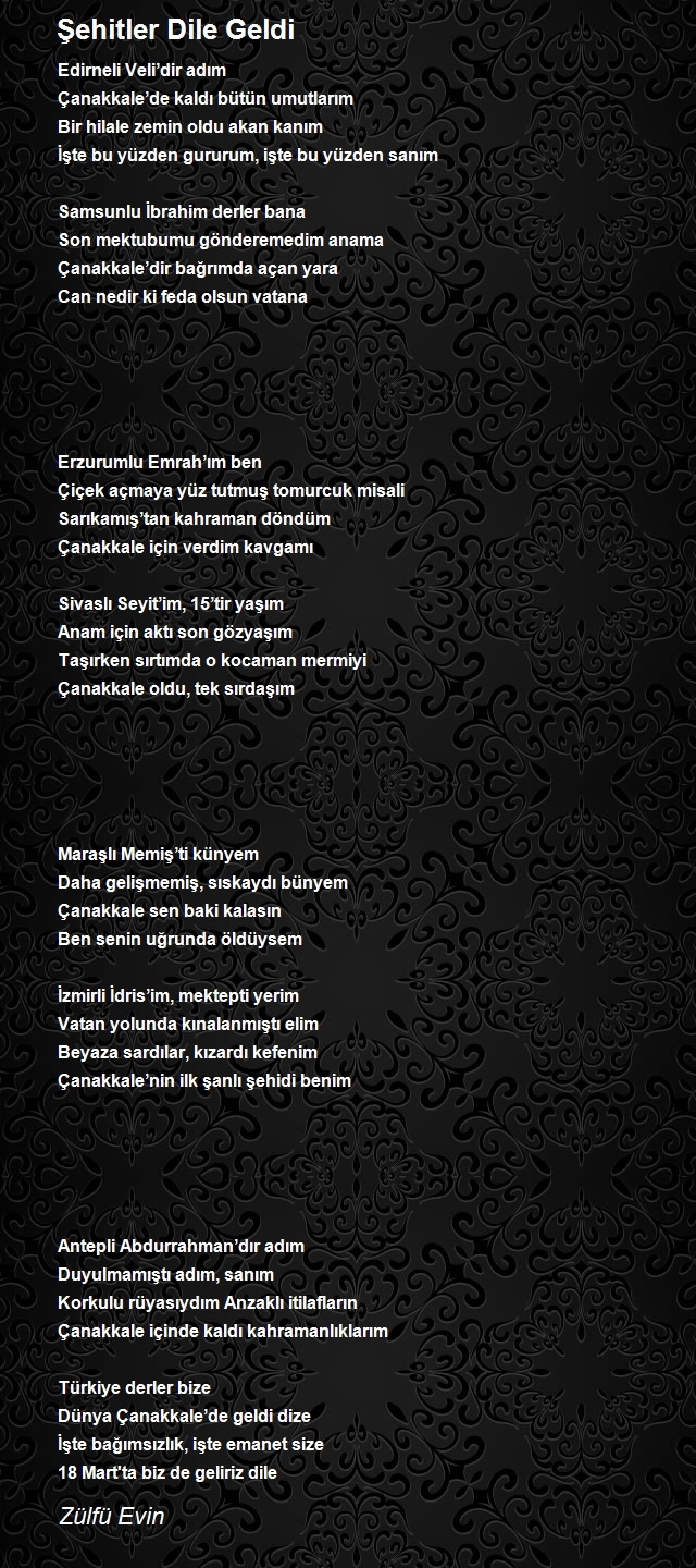 Zülfü Evin