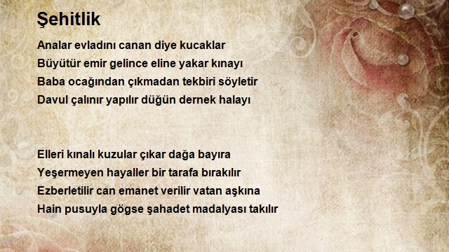 Mahmut Çiçekdağı