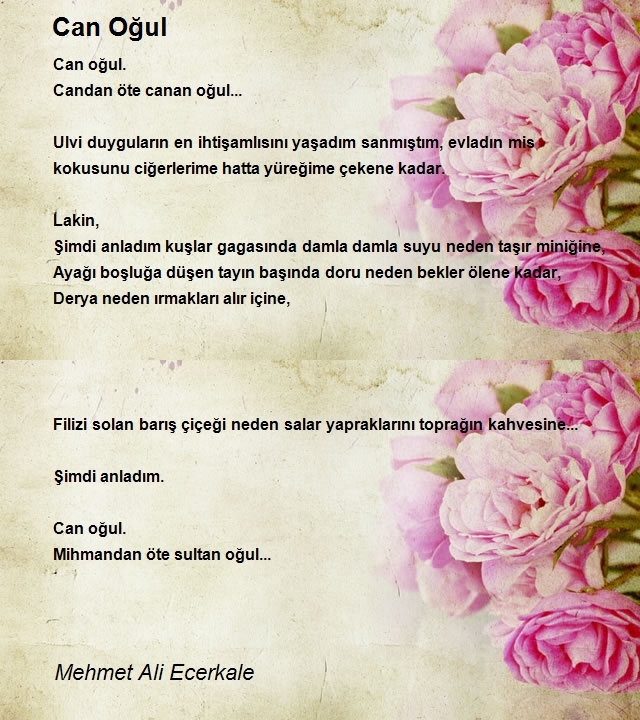 Mehmet Ali Ecerkale