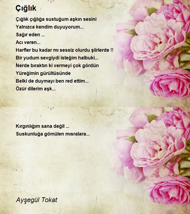 Ayşegül Tokat