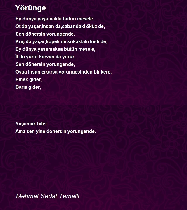 Mehmet Sedat Temelli