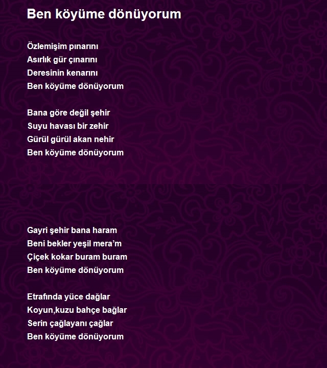 Metin Şaşmaz
