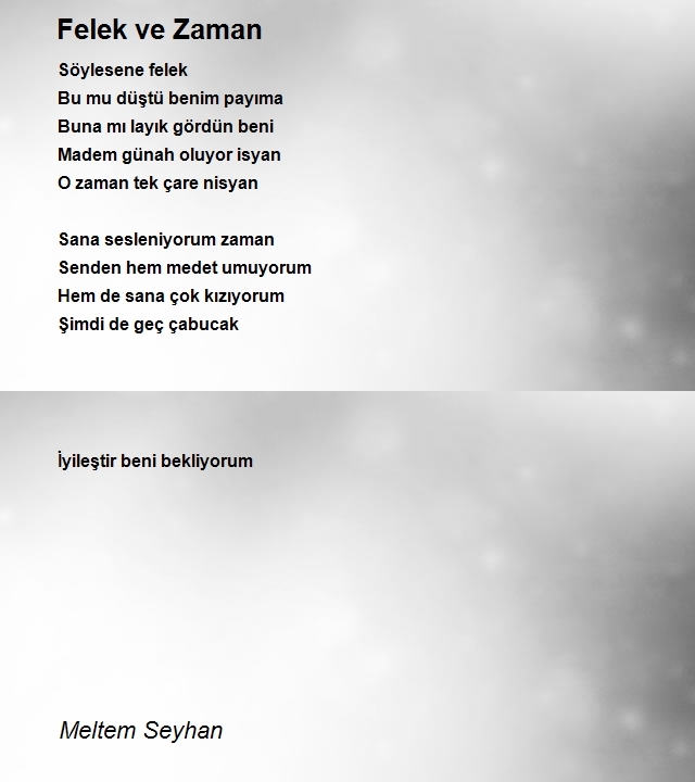 Meltem Seyhan