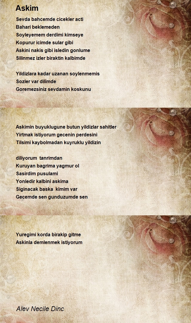 Alev Necile Dinc
