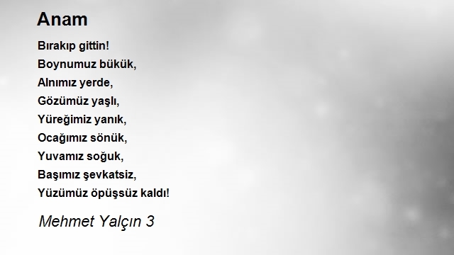 Mehmet Yalçın 3