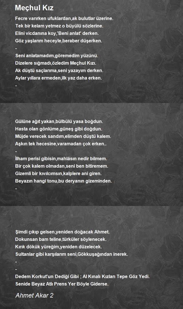 Ahmet Akar 2