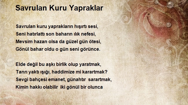 Turan Yükseloğlu