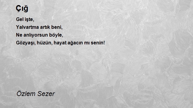 Özlem Sezer