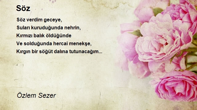 Özlem Sezer