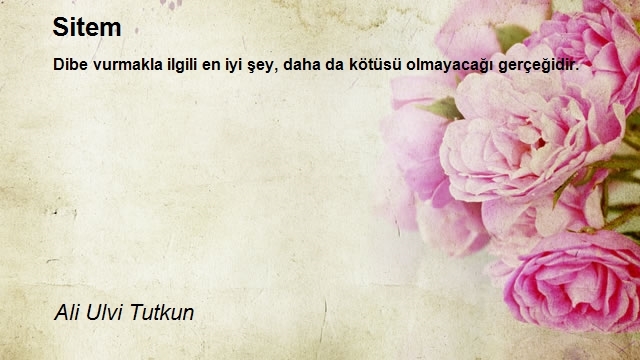 Ali Ulvi Tutkun