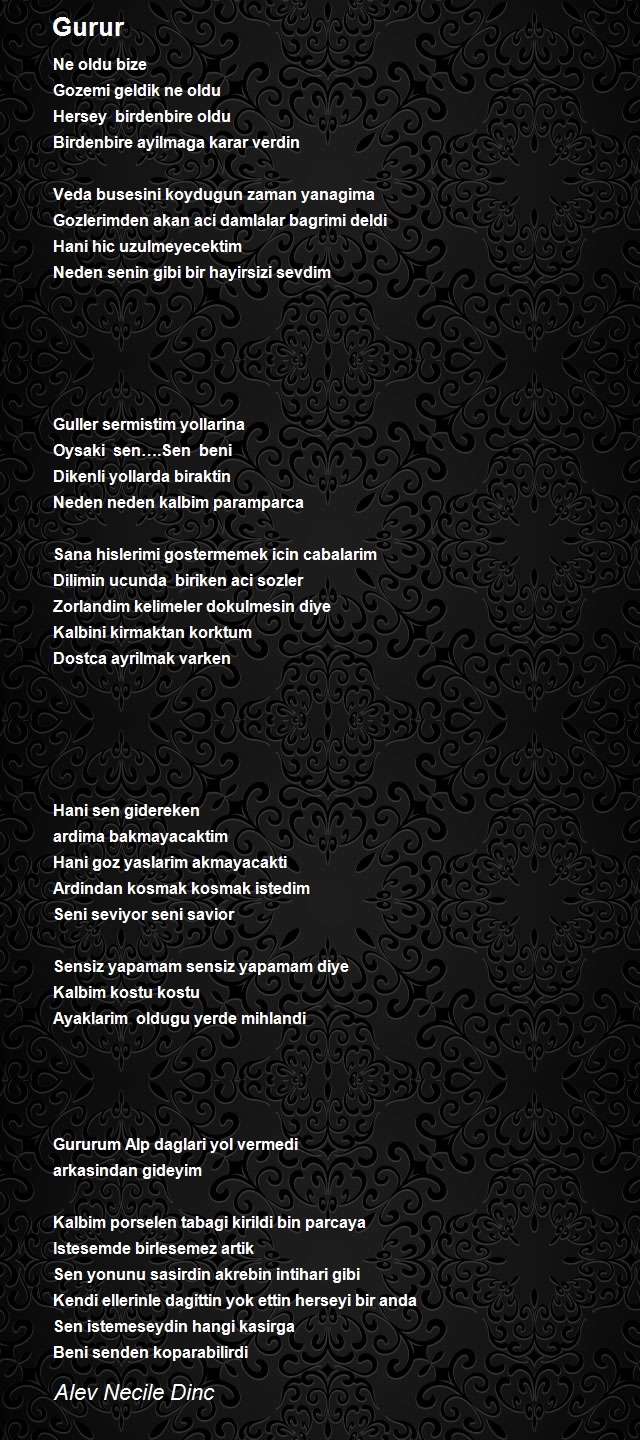 Alev Necile Dinc