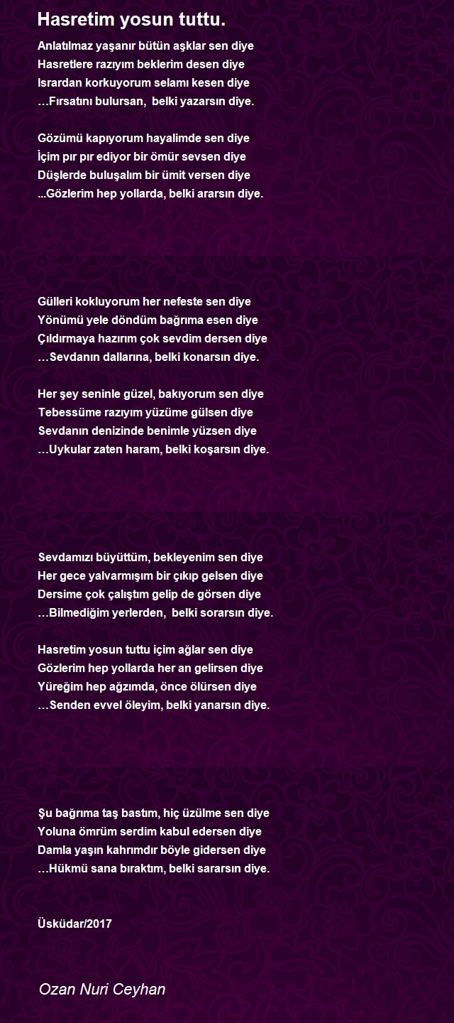 Ozan Nuri Ceyhan
