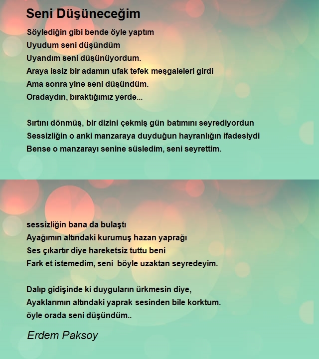 Erdem Paksoy