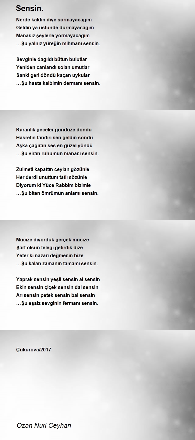 Ozan Nuri Ceyhan
