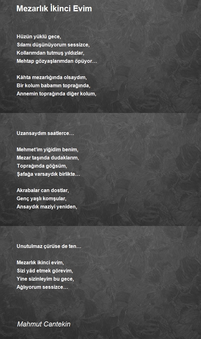 Mahmut Cantekin