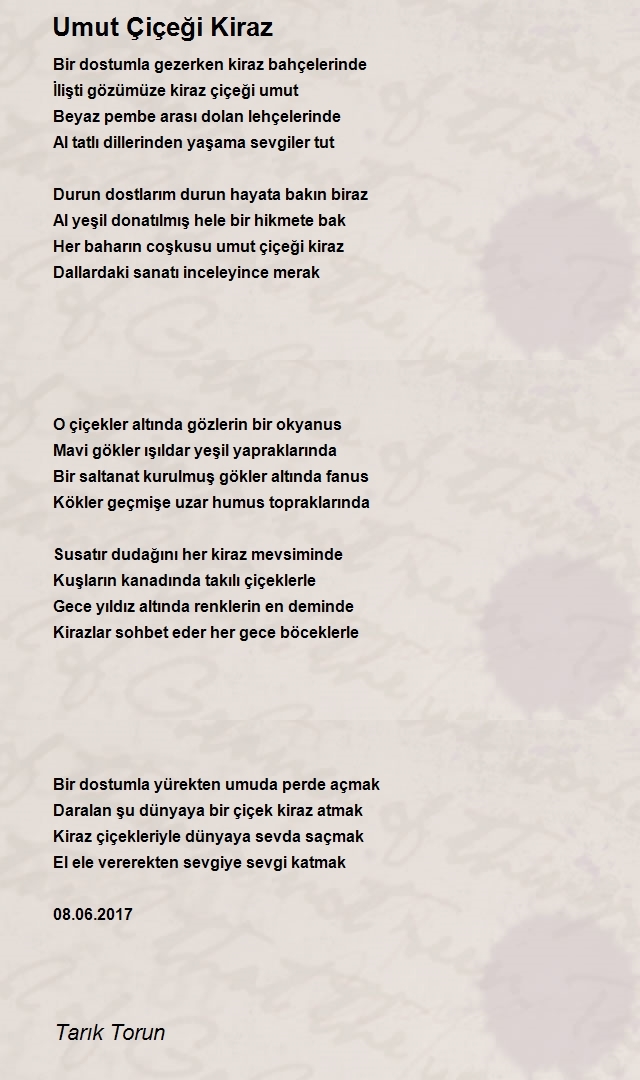 Tarık Torun