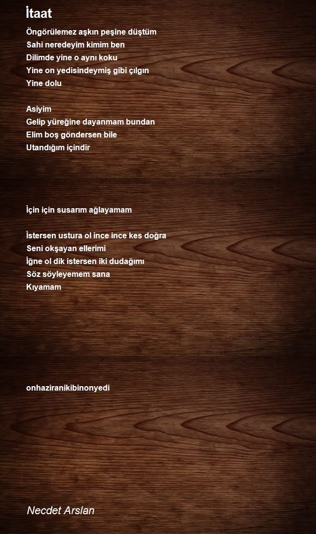 Necdet Arslan