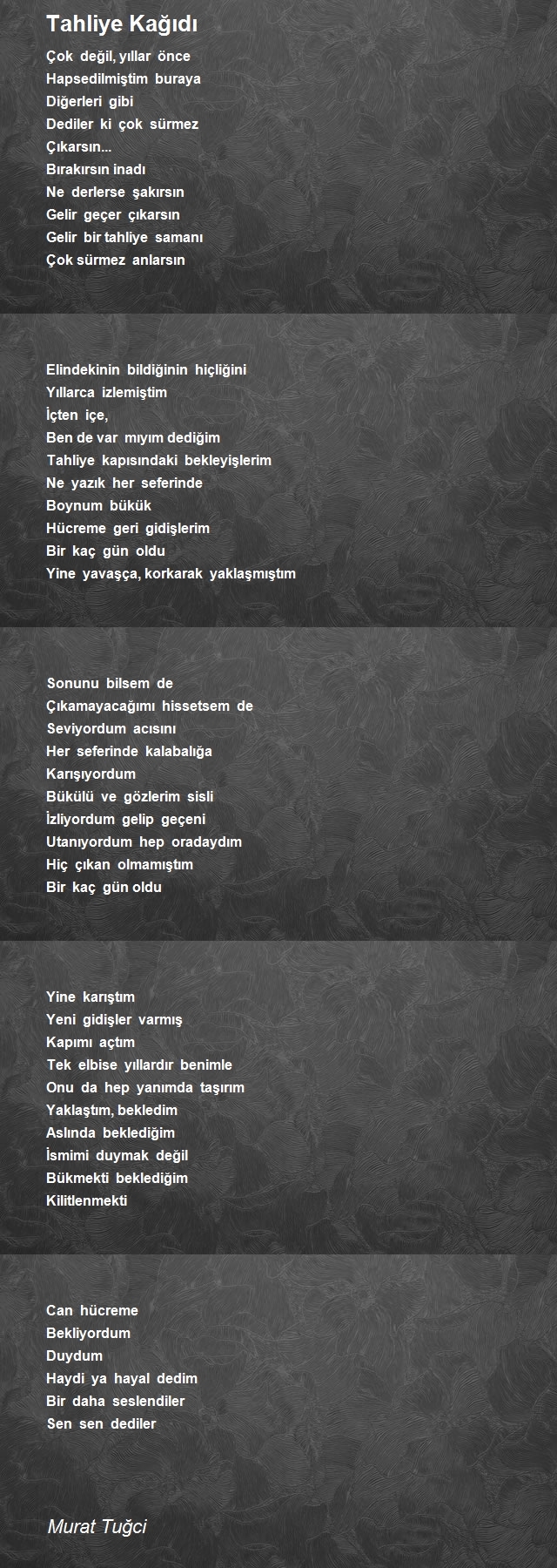 Murat Tuğci