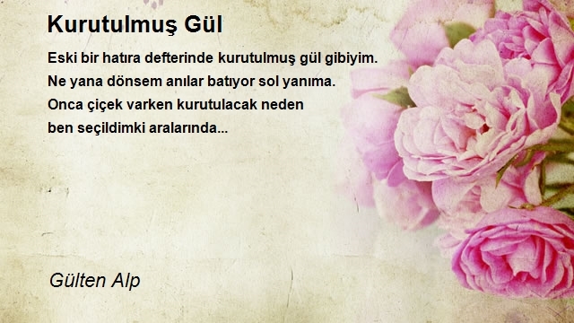 Gülten Alp