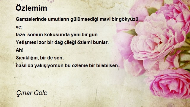 Çınar Göle