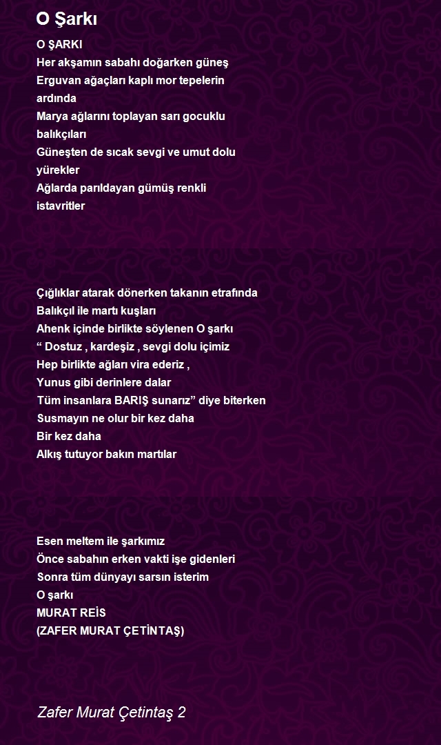 Zafer Murat Çetintaş 2