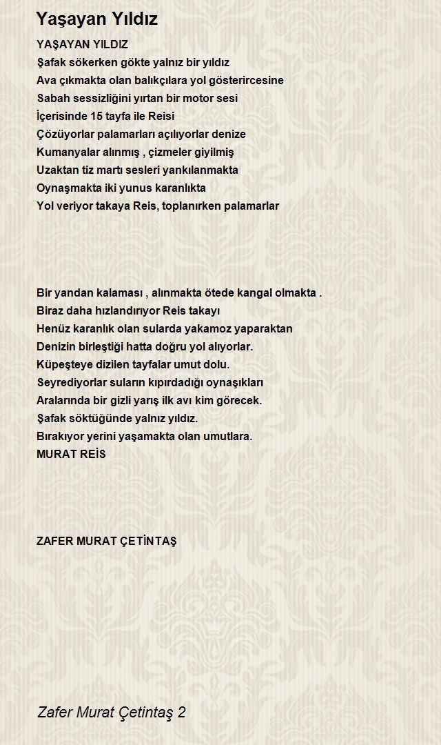 Zafer Murat Çetintaş 2