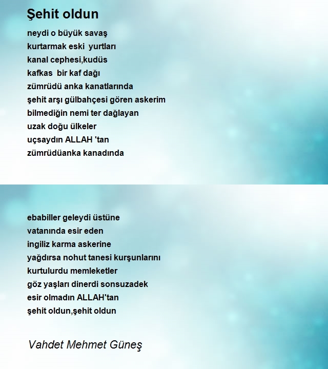Vahdet Mehmet Güneş