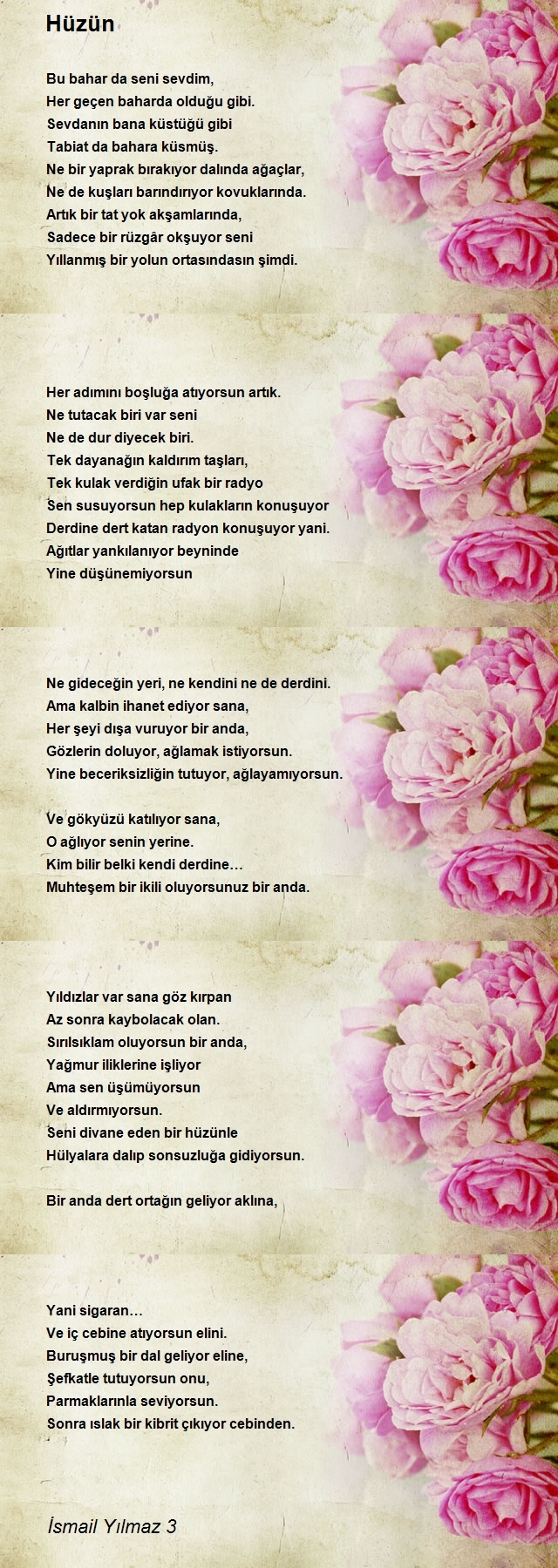 İsmail Yılmaz 3