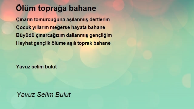 Yavuz Selim Bulut