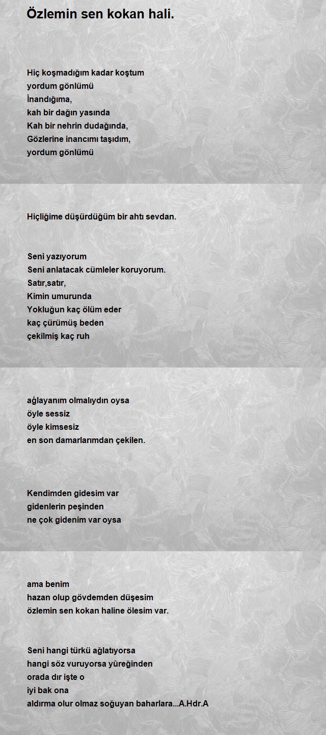 Ali Alkıs 2