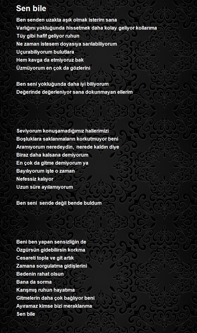 Serkan Sinan