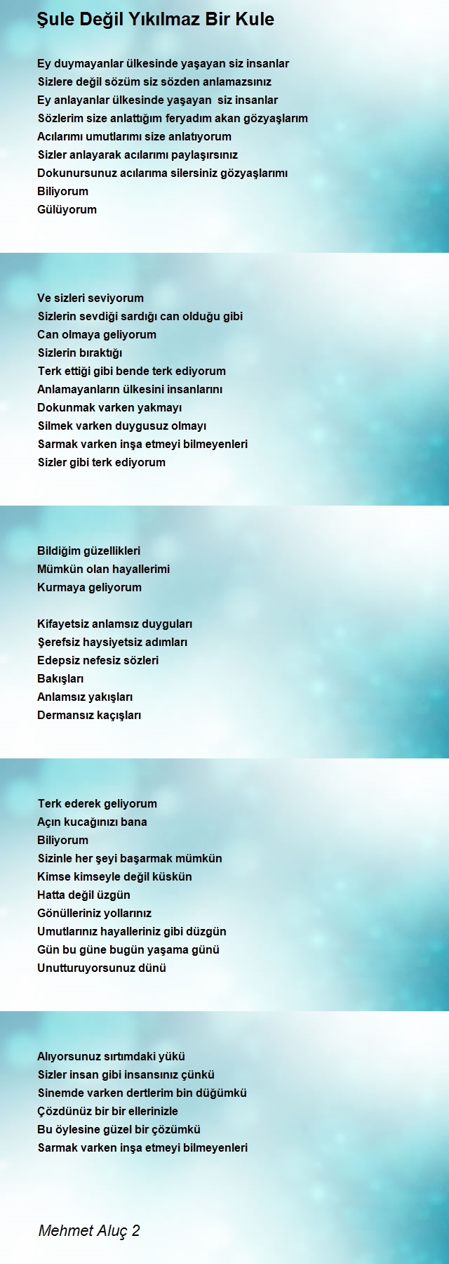Mehmet Aluç 2