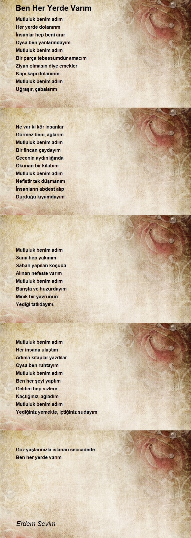 Erdem Sevim